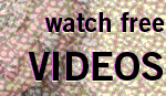 hot videos